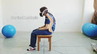 Proprioceptive Neuromuscular Facilitation PNF in Sitting Position [upl. by Atinev]