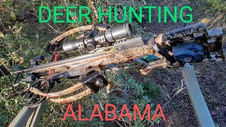 Alabama early Season DEER HUNTING on Public Land [upl. by Pelagias146]