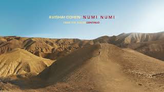 Avishai Cohen  Numi Numi from the album Continuo [upl. by Ahsinert920]