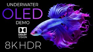 Underwater World OLED Demo HDR 8K Ultra HD Dolby Vision™ 60fps [upl. by Else545]