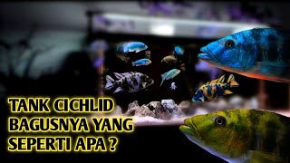 REKOMENDASI SET UP TANK CICHLID TERBAIK [upl. by Oiralih]