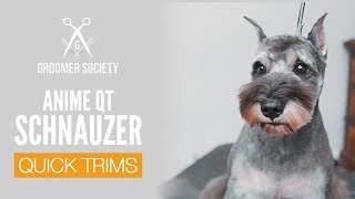 Anime Schnauzer Face  Dog Grooming [upl. by Holihs]