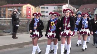 Ostbayerischer Faschingszug 2014 [upl. by Russom]