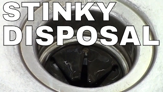 GARBAGE DISPOSAL HOW TO CLEAN  FAST Simple TRICK ICE [upl. by Willms]