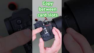 Nikon Z6ii Copy images between slots nikon photography sdcard xqdcard [upl. by Ehcrop175]