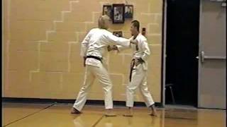 Seisan Bunkai Isshinryu Karatedo [upl. by Norvil]