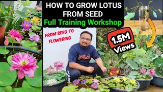 How To Grow Lotus From Seed  Full Training Workshop On Lotus And Water Lily  Seed To Flowering [upl. by Aliahkim]