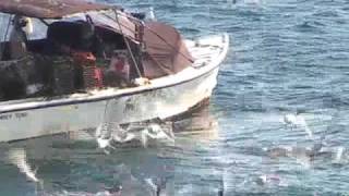 Lobster Boat in Marblehead Harbor [upl. by Nahsez747]