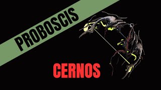 Warframe 2023 Proboscis Cernos Build [upl. by Annekam639]