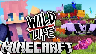 The WORST Best Day Ever  Ep 6  Wild Life [upl. by Gona]