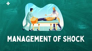 Management of Shock in emergency department ICU [upl. by Zenitram]