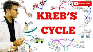 Krebs Cycle Made Easy [upl. by Hgielrahc]