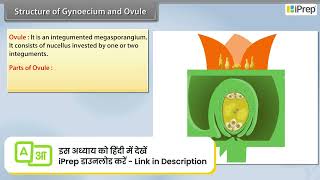 Structure of Gynoecium and Ovule  Sexual Reproduction in Flowering Plants  Biology  Class 12th [upl. by Scribner]