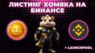 HAMSTER KOMBAT БУДЕТ НА BINANCE  Листинг и лаунчпул Хомяка на Бинансе  Как участвовать [upl. by Hniht569]