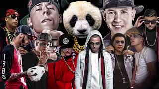 Panda remix bad bunny [upl. by Tera]