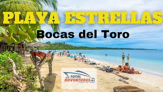 🌴TOUR PLAYA DE LAS ESTRELLAS BOCAS DEL TORO TOURS BOCAS DEL TORO PANAMA 🇵🇦 [upl. by Cuthburt]