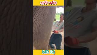 হাতী কফি। Assamese Facts । shorts assamese assam assamesevideo [upl. by Dlarrej]