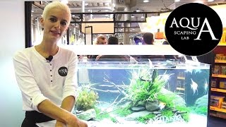 Aquascaping Lab  Petsfestival Piacenza presentazione e Koi Carp interview PARTE 1 [upl. by Haiel]