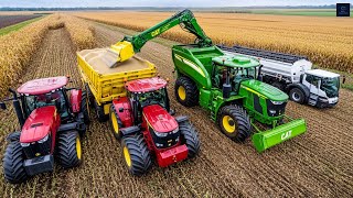 Corn Silage Harvest I Claas Jaguar 990 with 8 Massey Ferguson Tractors [upl. by Susana]