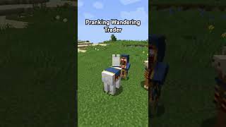 Pranking wandering trader in Minecraft shorts [upl. by Dlorej]