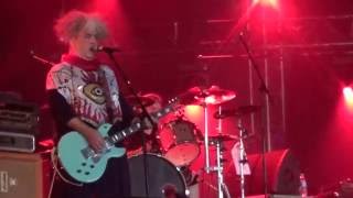 Melvins  Live  Hellfest 2016 [upl. by Skutchan163]