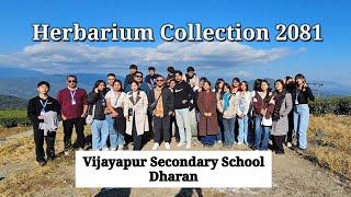 Herbarium Collection 2081 Vijayapur Secondary School Dharan [upl. by Ahsille760]