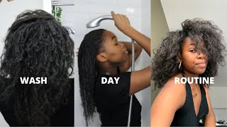 Ma routine capillaire 👩🏾‍🦱 wash day routine boucler ses cheveux crépus [upl. by Ahtis]