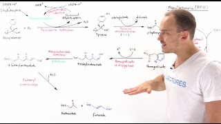 Phenylketonuria PKU [upl. by Lasiaf]