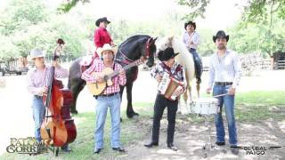 El Palomo y el Gorrión  La novia del pajarillo En vivo [upl. by Nylloh]