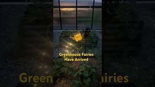 gardening countrygarden garden veggiegarden fairies country growyourownfood greenhouse [upl. by Baal764]