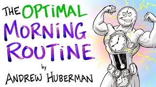 The Optimal Morning Routine  Andrew Huberman [upl. by Rugg331]