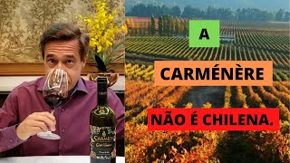 Carménère sua origem história e características [upl. by Crofoot425]