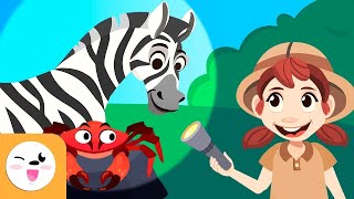 Les animaux pour les enfants  Vocabulaire  Animaux sauvages de la ferme et aquatiques [upl. by Imas]