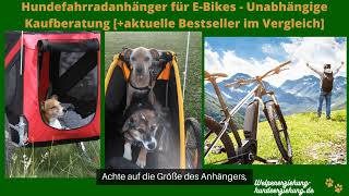 Hunde Fahrradanhänger für EBikes Test 2024 die top 5 im Vergleich Kaufberatung und Empfehlung [upl. by Peednas219]