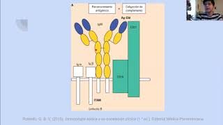 Receptor de linfocitos T y B [upl. by Dilahk932]