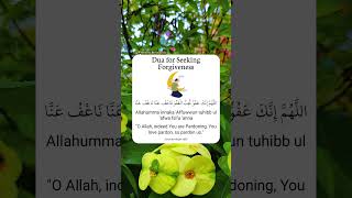 Dua for Seeking Forgiveness [upl. by Albion]