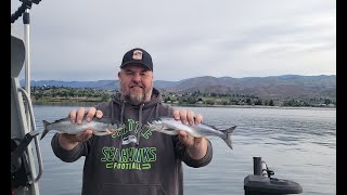 Kokanee Fishing Lake Chelan Day 2 Washington June 2024 [upl. by Cleti165]