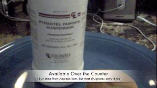 DIY Heartworm Preventive  Updated HD [upl. by Sherrer469]