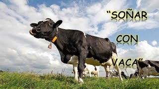 SOÑAR CON VACA O VACAS  SENTIDO DE LOS SUEÑOS [upl. by Ameer]