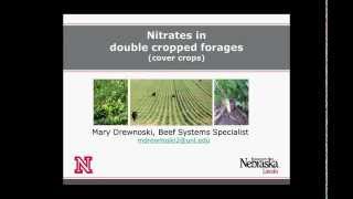 Understanding and Managing Nitrate Risk in Double Crop Forages Cover Crops [upl. by Glorianna900]