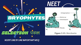 PLANT KINGDOM CLASS 11BRYOPHYTESNEETNCERT LINE BY LINE IMPORTANT MCQ [upl. by Milburr]