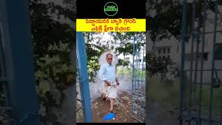 టపాసు తో సూపర్ ఎఫెక్ట్ telugushorts telugufacts teluguviral telugu factsintelugu [upl. by Adnahsed345]