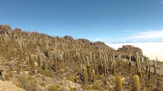 Salar de Uyuni 2013 [upl. by Drannel265]