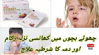 Evokast 4mg Sachets Uses Side Effects Dossage In Urdu Hindi How To Use Evokast 4 mg Sachets [upl. by Annayhs]