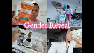 VLOG LO QUE ESTOY UTILIZANDO ACTUALMENTE  GENDER REVEAL 🥰 [upl. by Downing]