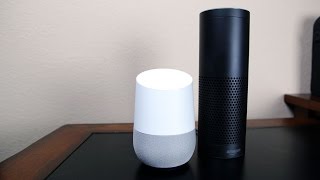 Amazon Echo vs Google Home [upl. by Lodmilla445]