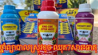 ថ្នាំព្យាបាលស្រូវខូច ឈុត7សារធាតុ ព្យាបាលគ្រប់ជំងឺលើដំណាំស្រូវ។ Telegram 097 91 94 218។ [upl. by Nangatrad]