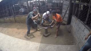 Sword Making in the Philippines by Blade Culture International [upl. by Eilloh]