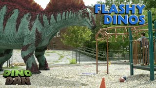 Stay Flashy Amargasaurus  Dino Dan Treks Adventures  Best of Dino Kids [upl. by Cesaria781]