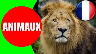 Les Animaux pour les Enfants en Français  Apprendre les bruits danimaux pour bébé [upl. by Ailecra]